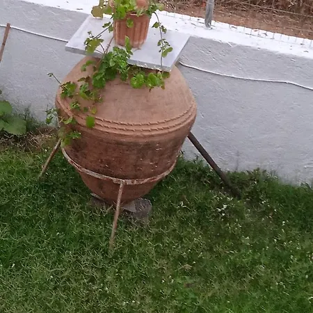 Adam's House Appartamento Achladies (Skiathos)