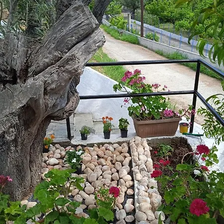 Adam's House شقة *