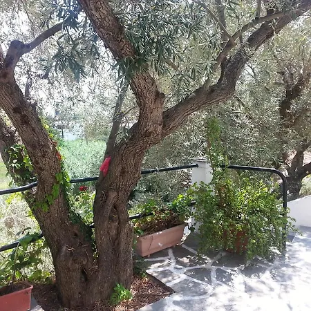 Adam's House Achladies (Skiathos)