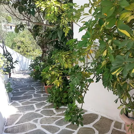 Adam's House * Achladies (Skiathos)