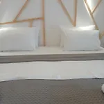 Adam's House