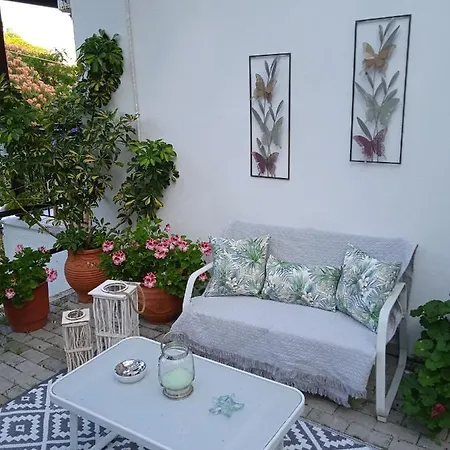 Adam's House