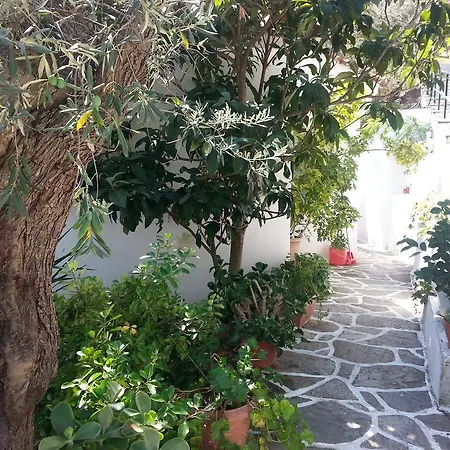 Adam's House *